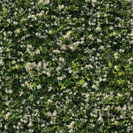 Limpha Gelsomino | Casalgrande Padana Limpha Gelsomino | Casalgrande Padana