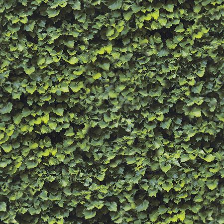 Limpha Arborea | Casalgrande Padana Limpha Arborea | Casalgrande Padana